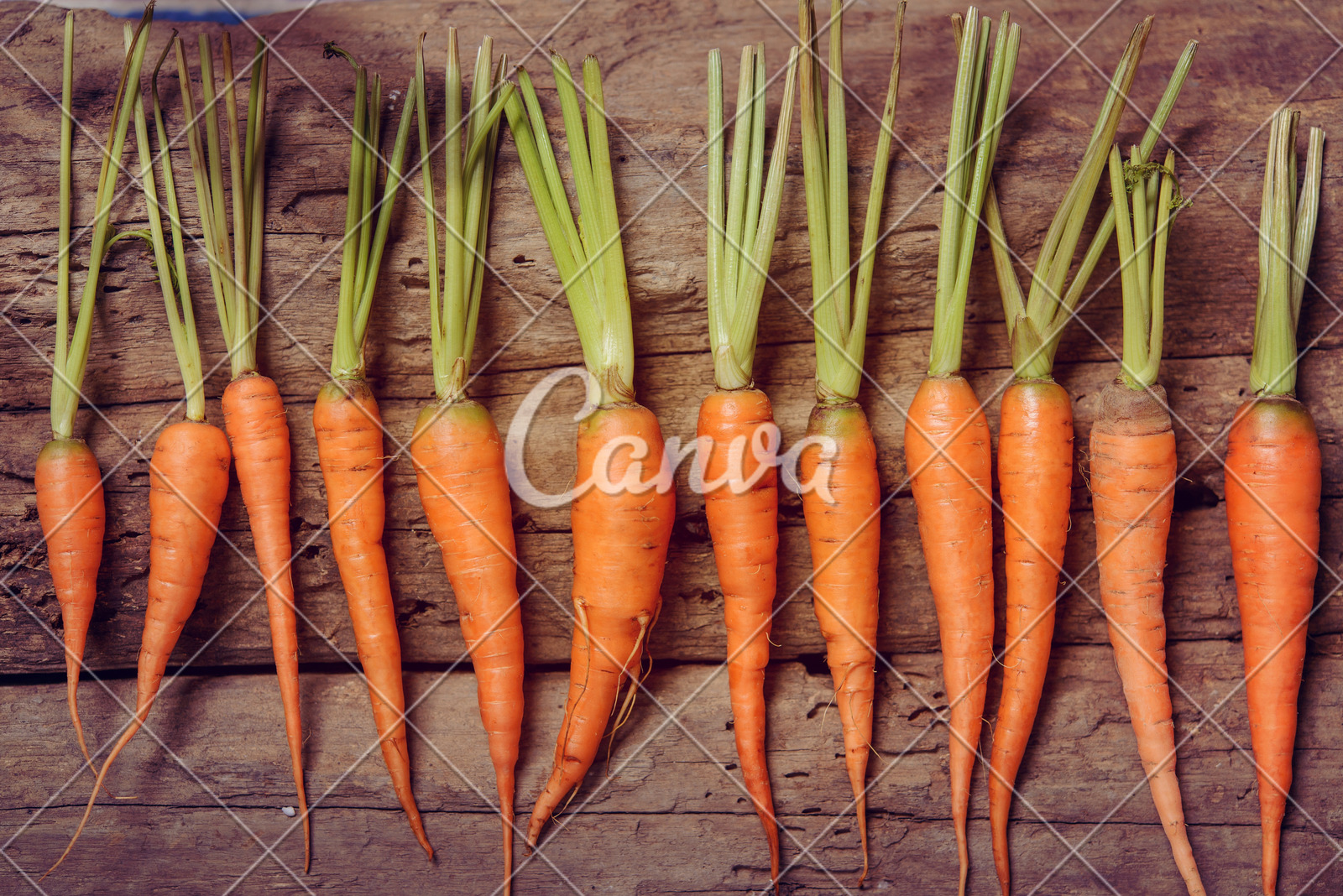 全球股市面临美联储利率决定的“压力测试”