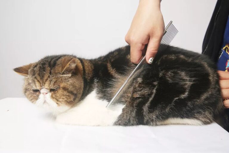 工信部:2025年上半年我国软件行业实现收入70585亿元、利润8581亿元 同比增长均超过两位数