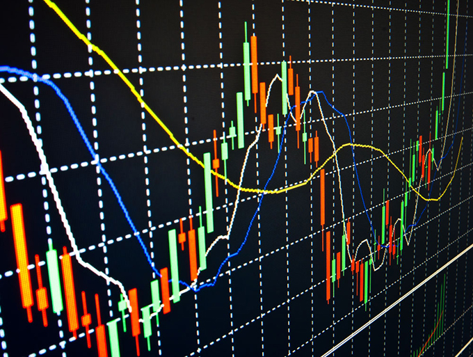 2024年度全国三八红旗手谢冰梅:“回游青年”反哺桑梓 挑起乡村振兴担子