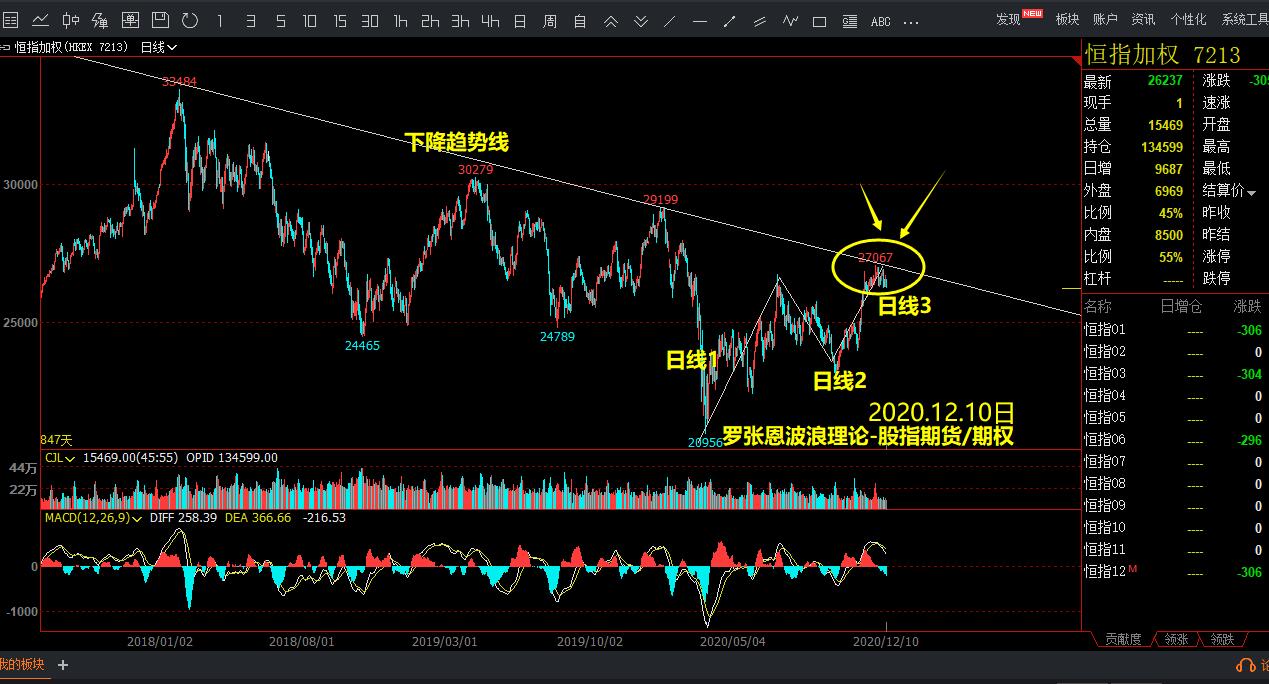 2024年度全国三八红旗手谢冰梅:“回游青年”反哺桑梓 挑起乡村振兴担子