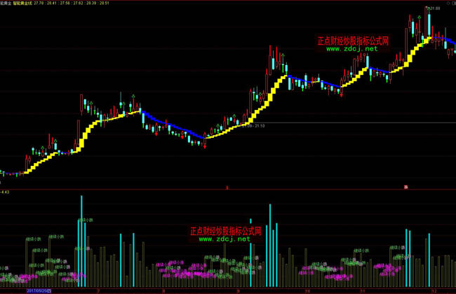 2024年度全国三八红旗手谢冰梅:“回游青年”反哺桑梓 挑起乡村振兴担子