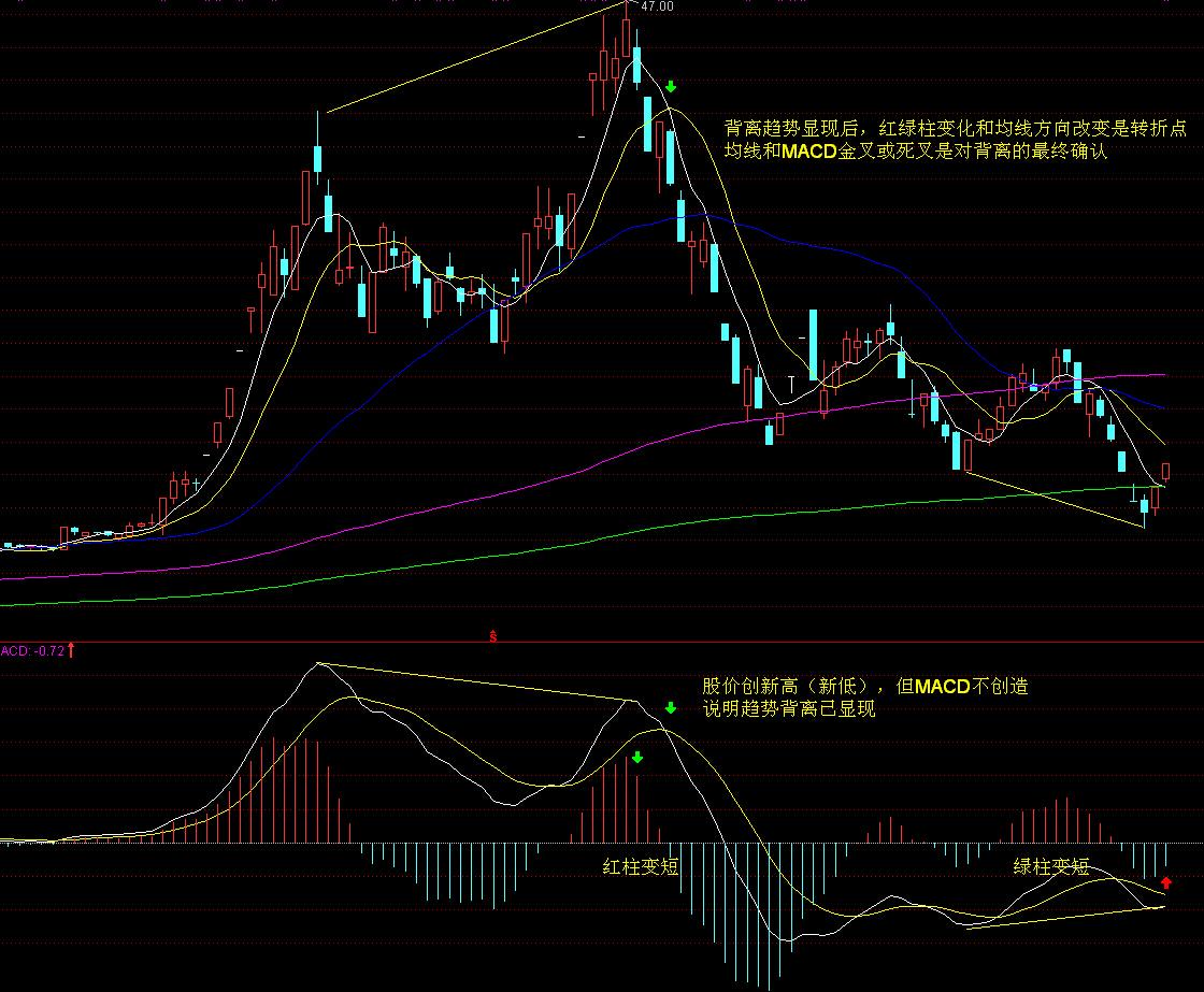 广东全面开展医共体医保支付改革 可申请“医保包干”