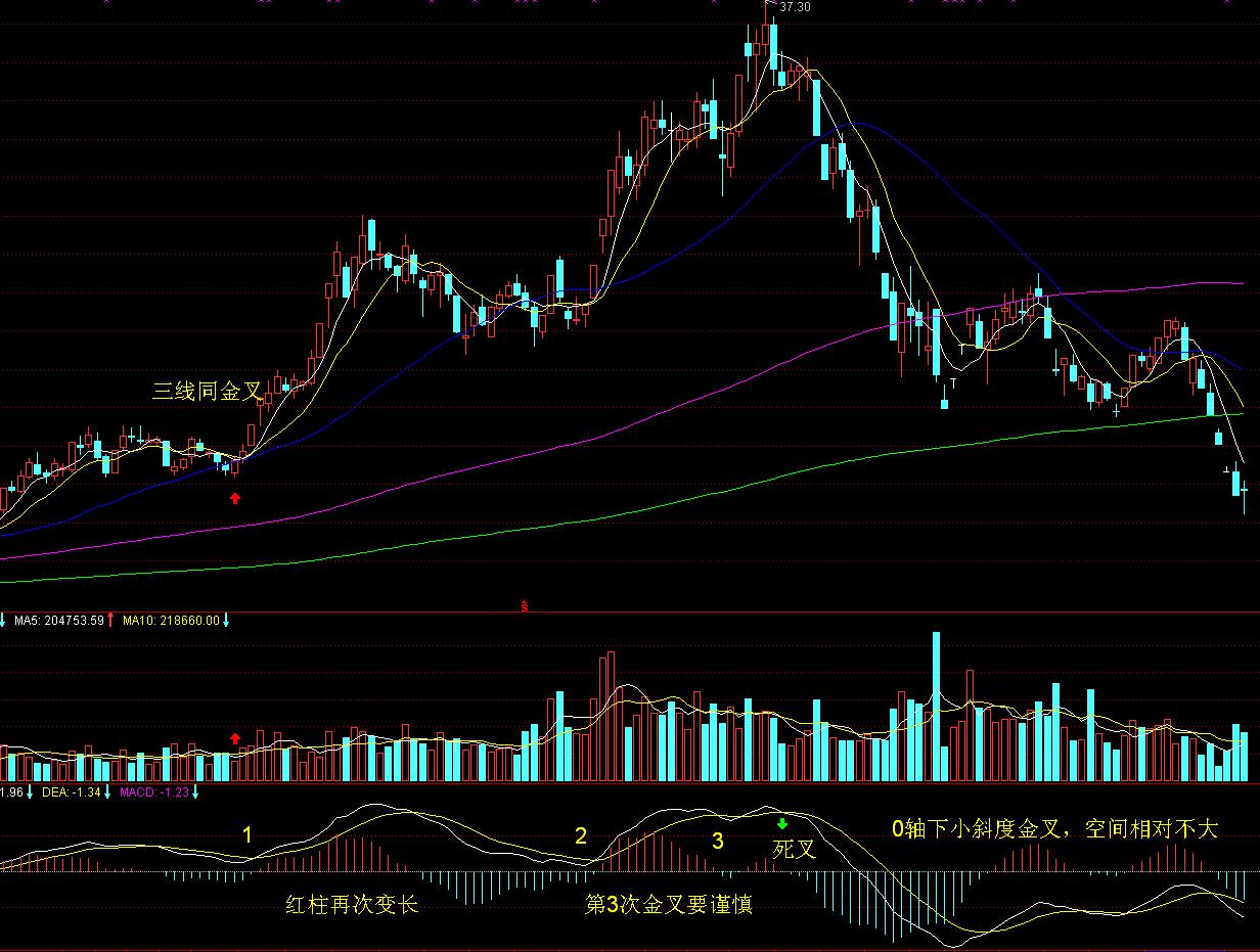 交警护送身体不适考生顺利赴考