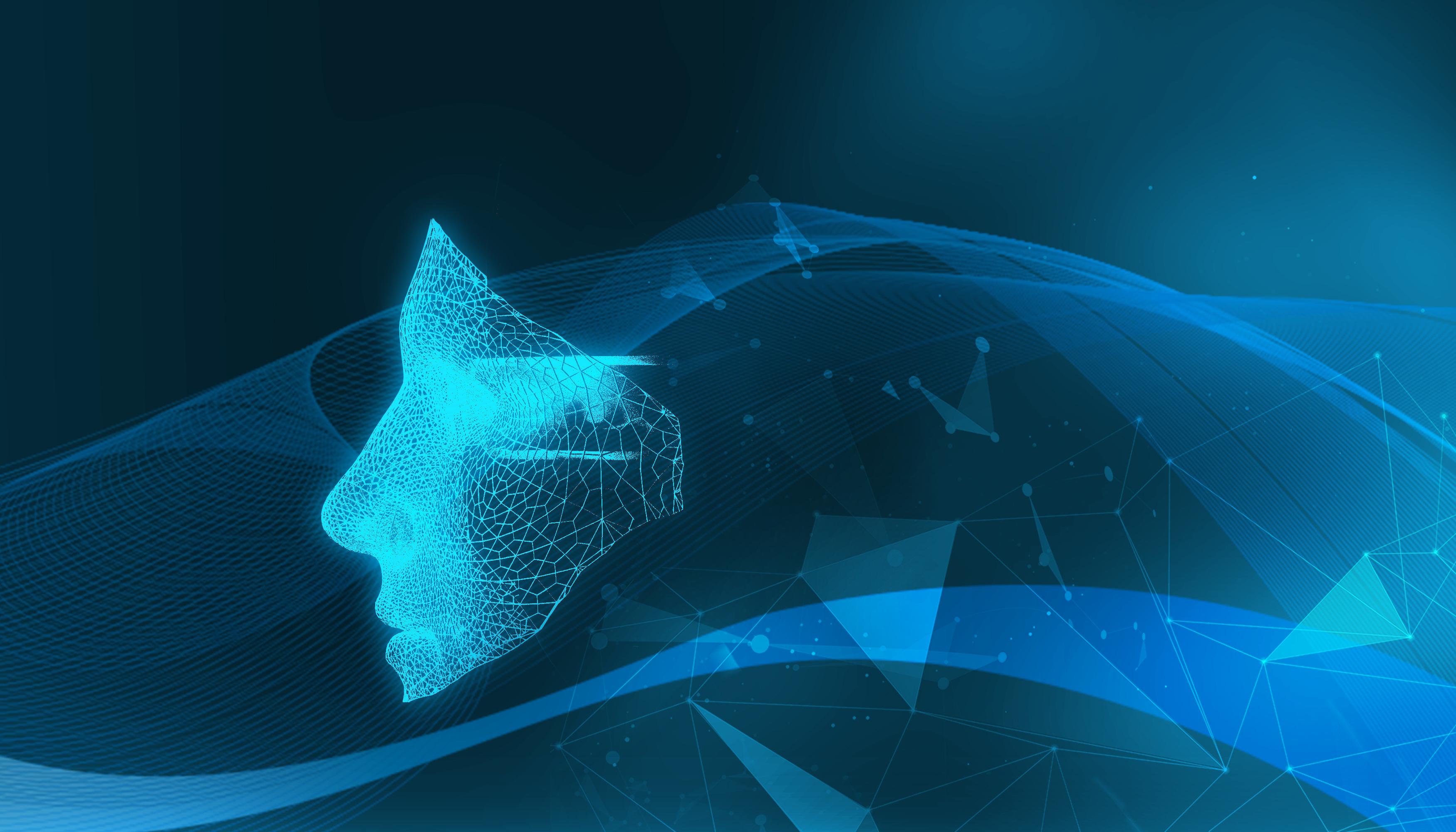 持续时间超100小时！今年以来广州最强降雨过程趋于结束