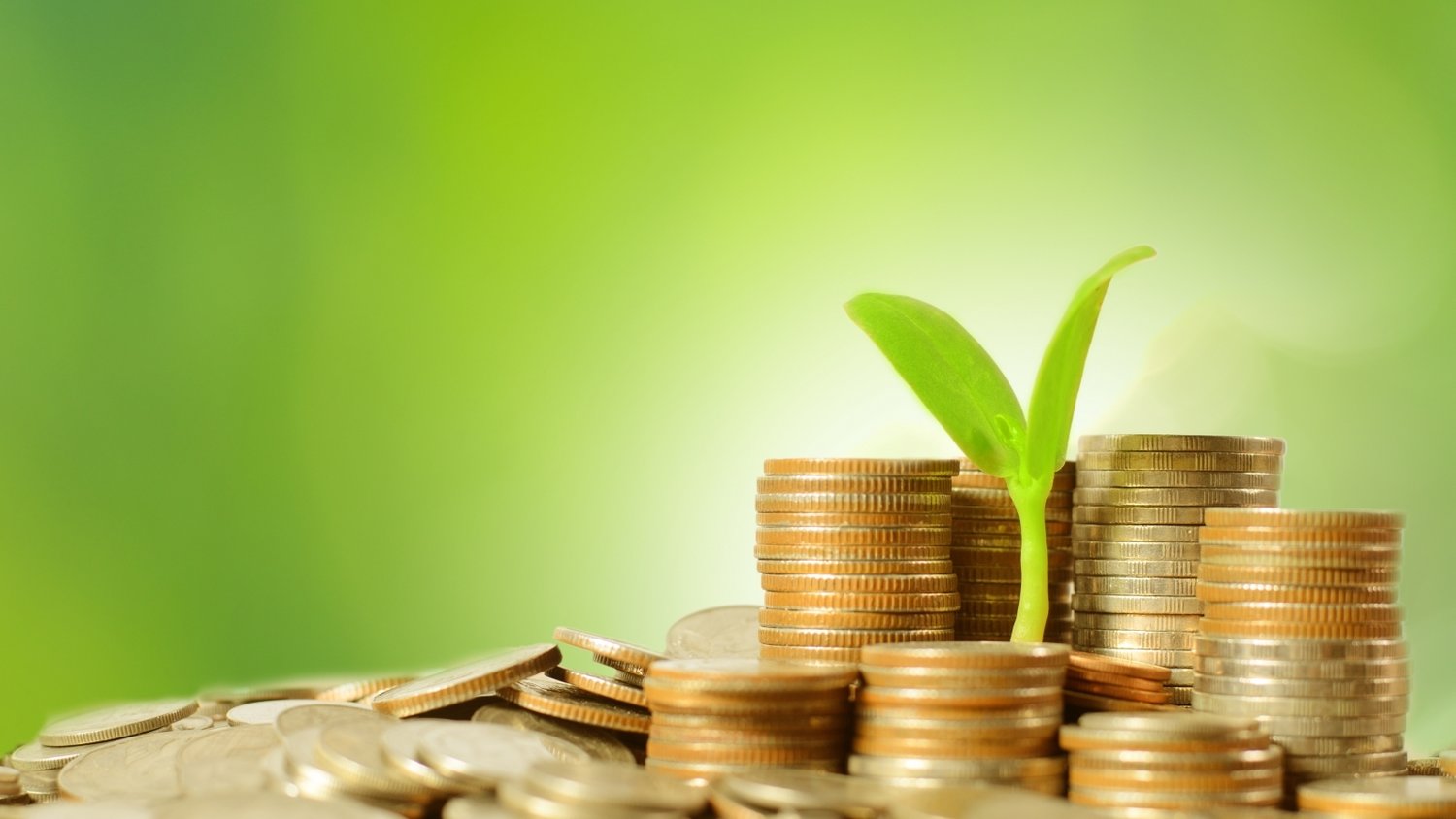 公安部公布5起养老领域非法集资犯罪典型案例