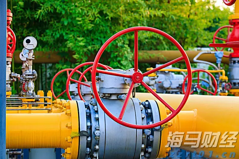 我市成功化解一起海外商标侵权纠纷案