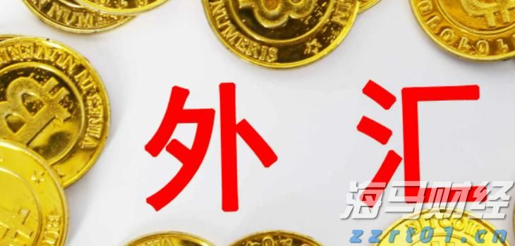 岭师健儿闪耀省大运会赛场