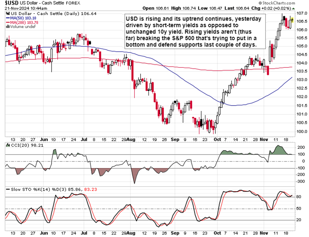 视频｜韩国采购商洪顺姬：西牛麻竹笋太好吃啦