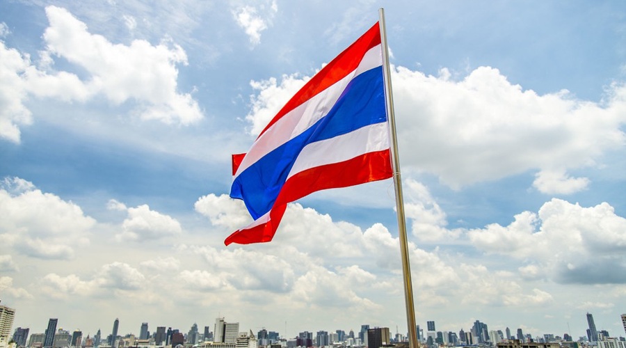 “秋冻”“贴秋膘”有讲究！专家回应秋季养生热门话题