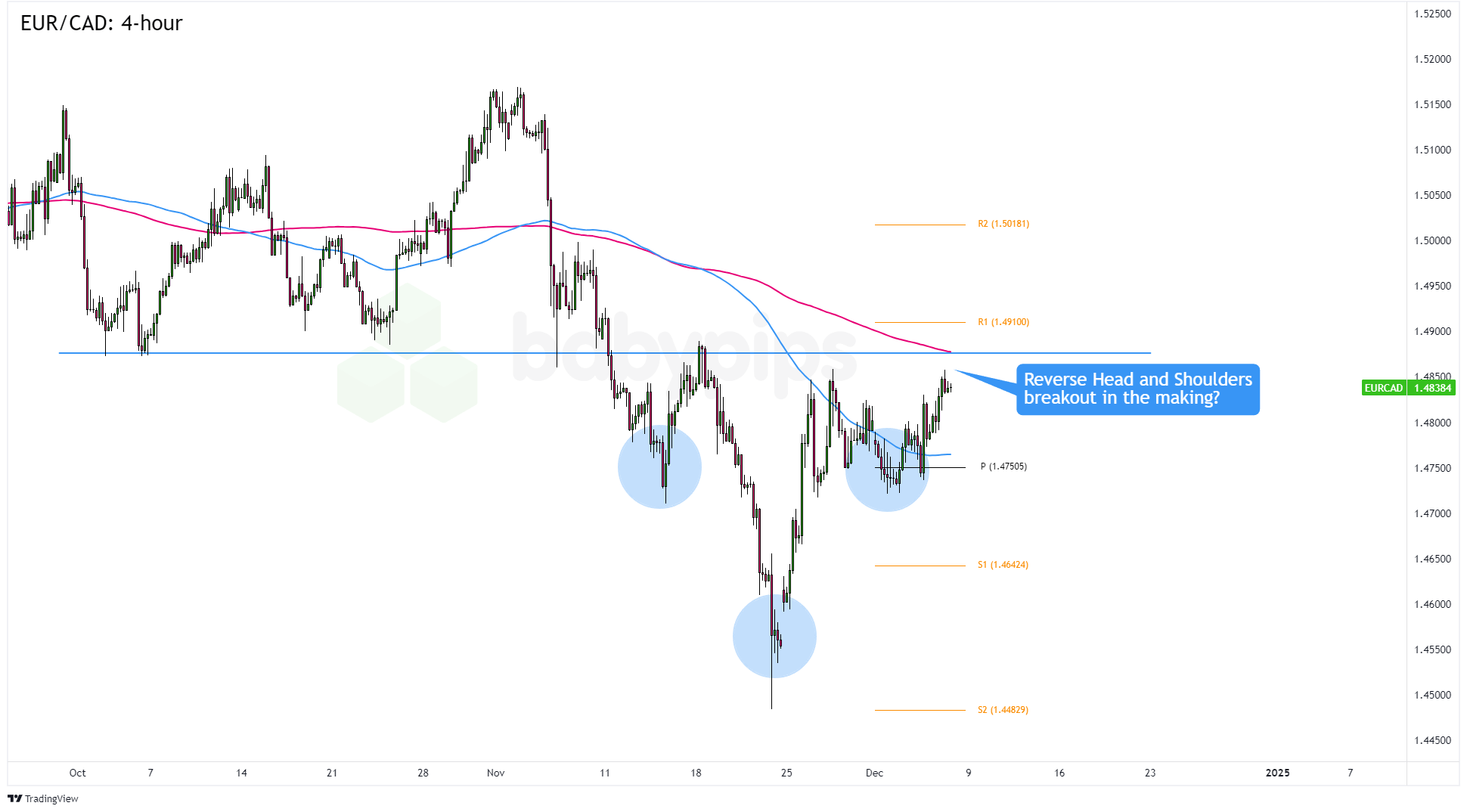 《珠海新闻》20250904